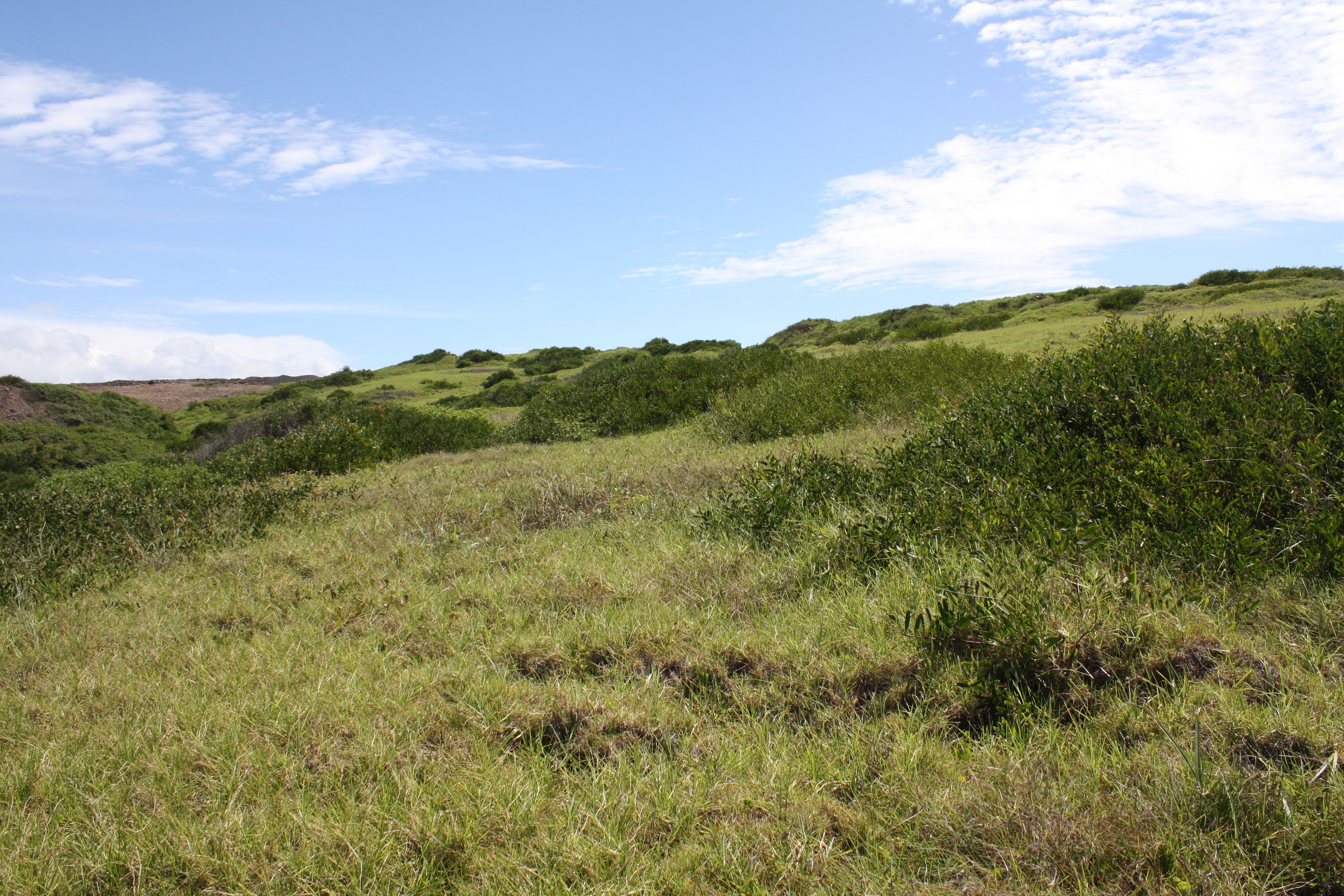 Bunyip North Quarry