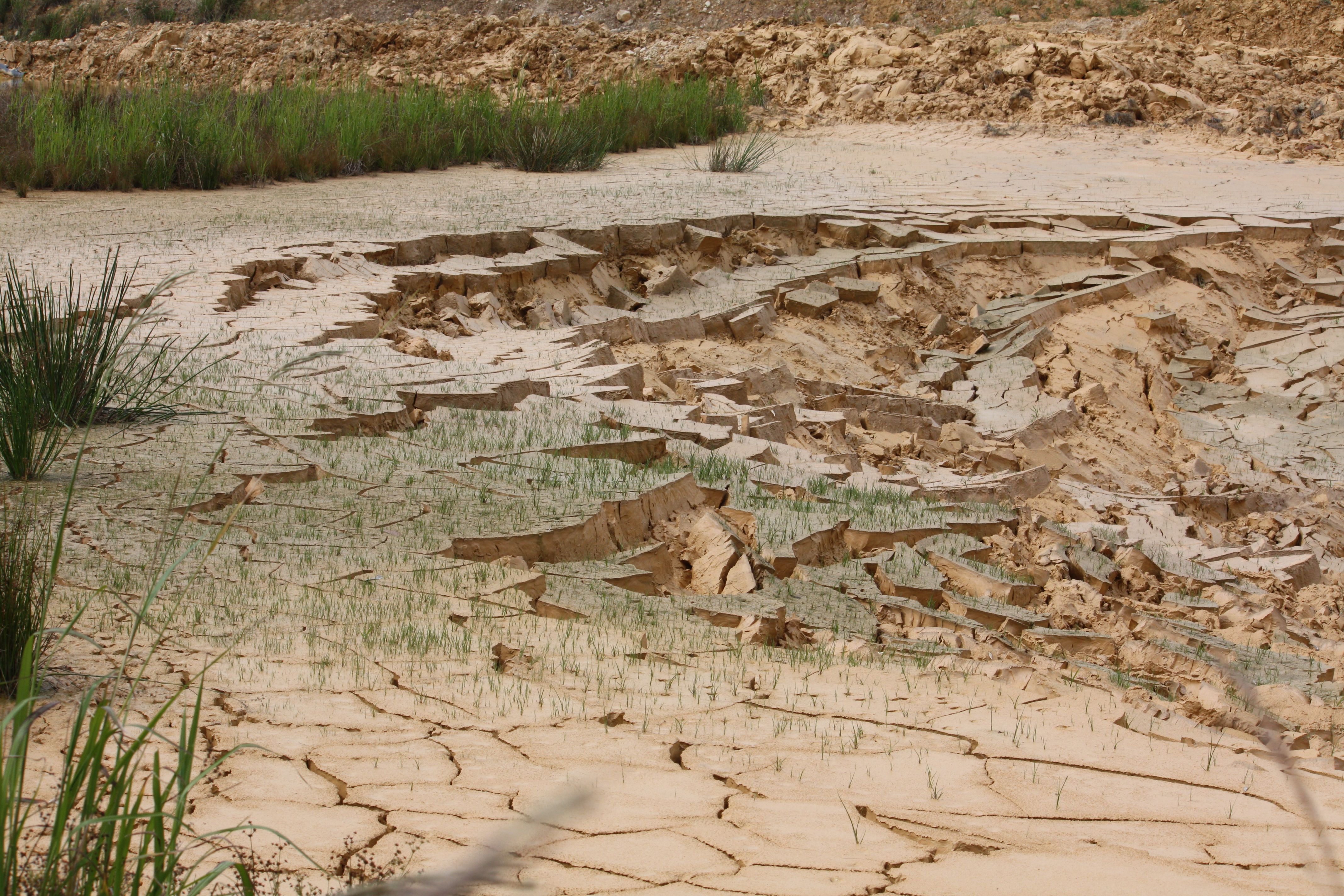 Central Coast Sands Quarry