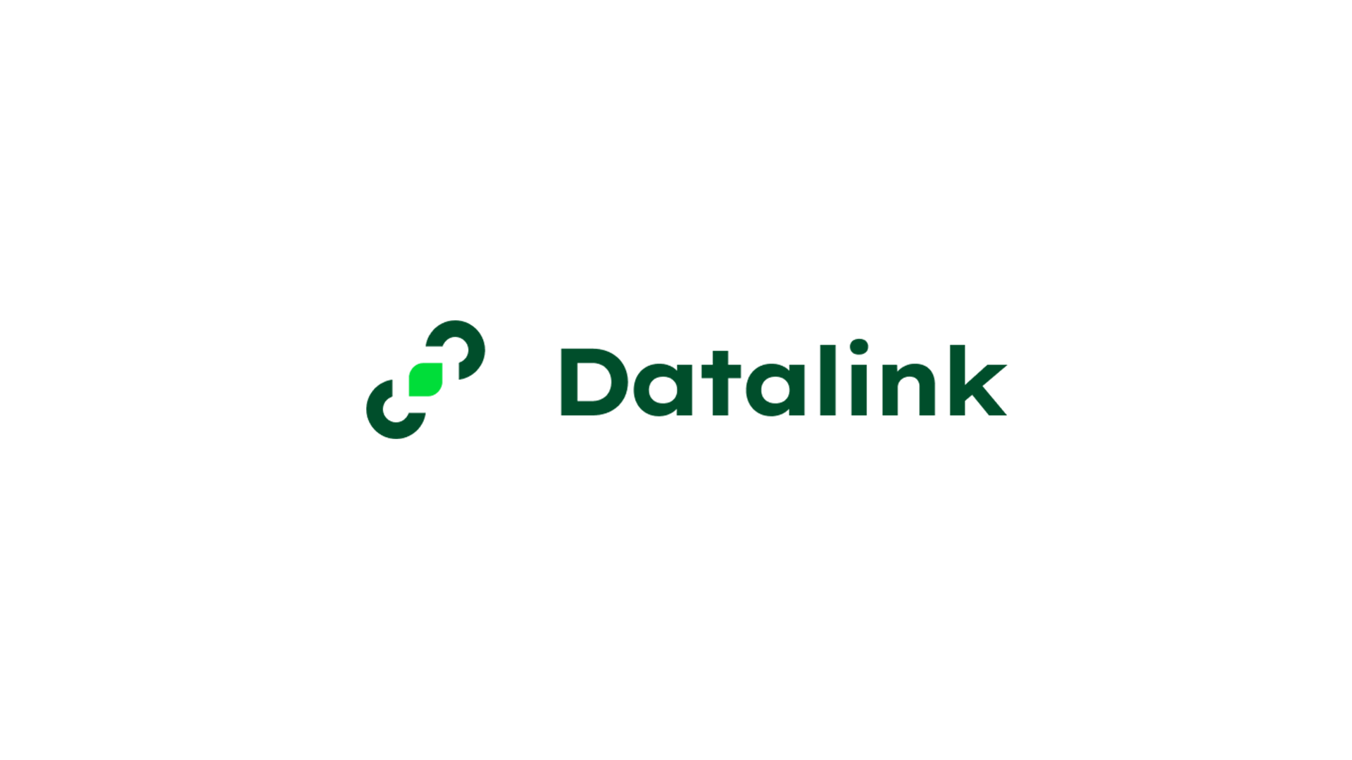 Datalink-logo