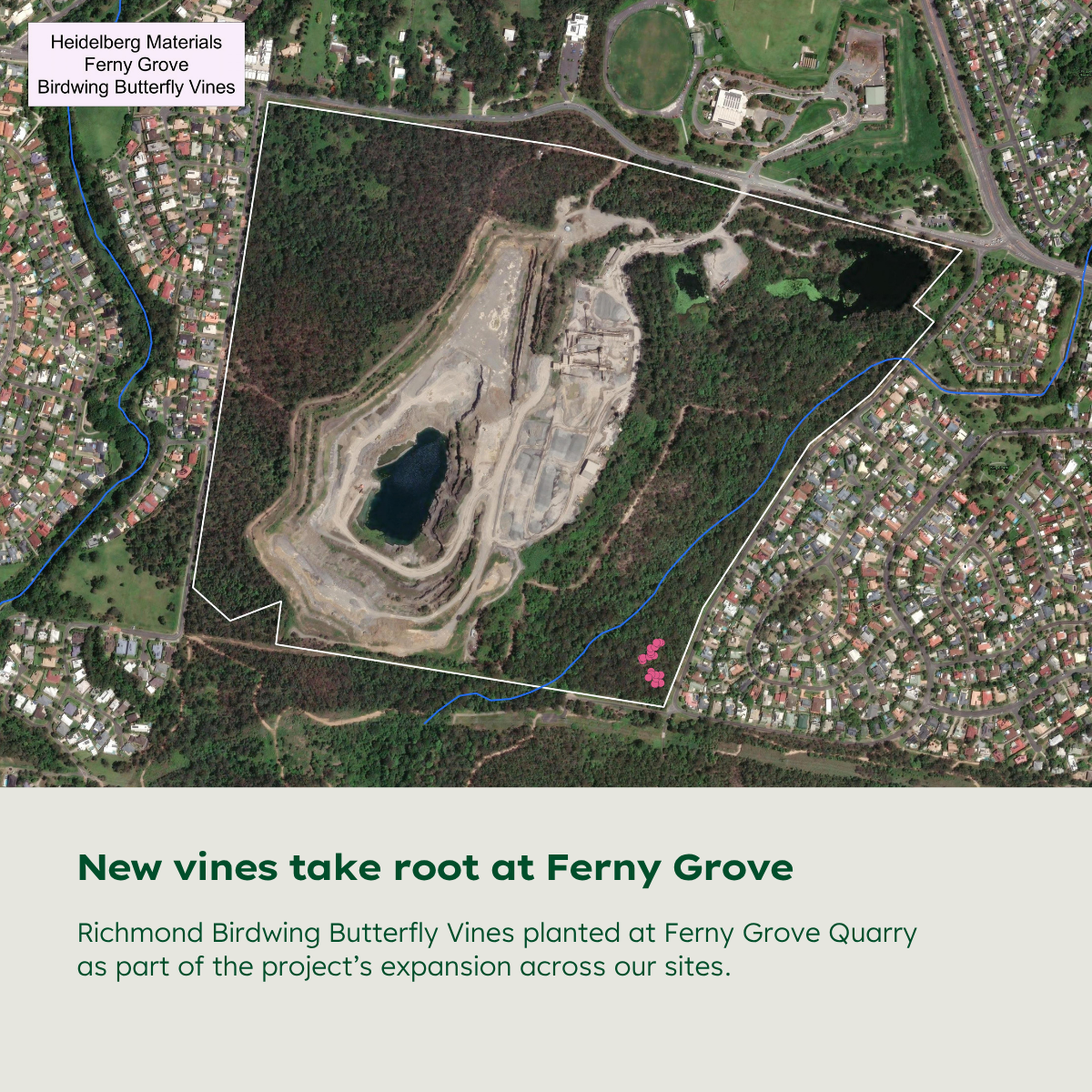 Aerial map of Ferny Grove Quarry showing locations selected for Richmond Birdwing Butterfly Vine planting.