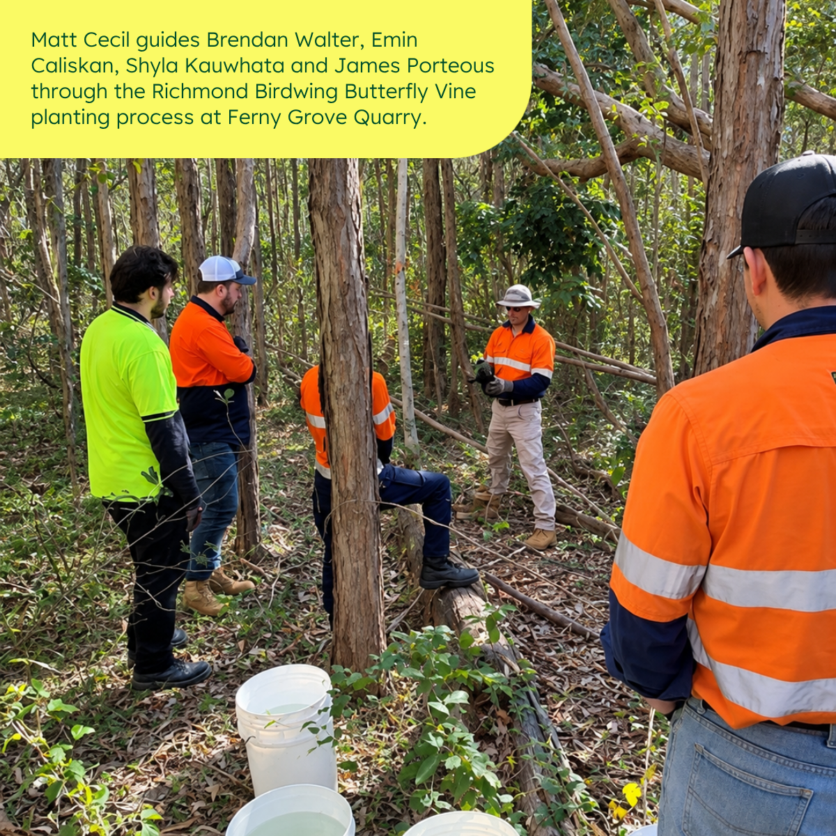 Matt Cecil guides Brendan Walter, Emin Caliskan, Shyla Kauwhata and James Porteous through the Richmond Birdwing Butterfly Vine planting process at Ferny Grove Quarry.