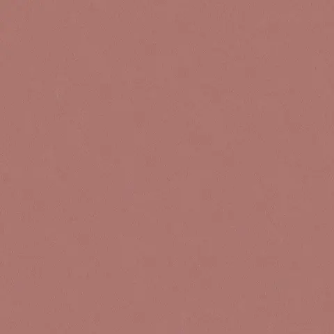 Shiraz