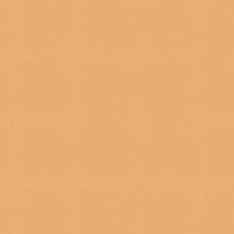 Rockmelon