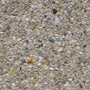 Oyster Crème