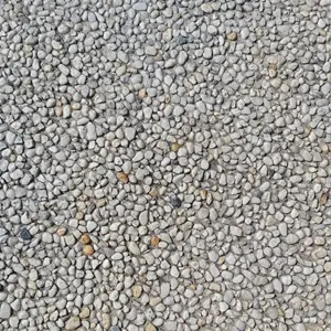 Sandy